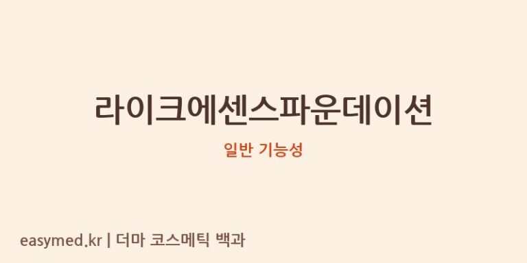 라이크에센스파운데이션 기능성 화장품 (일반 기능성)