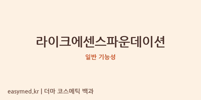 라이크에센스파운데이션 기능성 화장품 (일반 기능성)