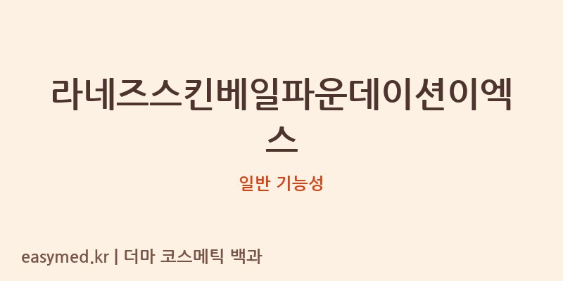 라네즈스킨베일파운데이션이엑스 기능성 화장품 (일반 기능성)