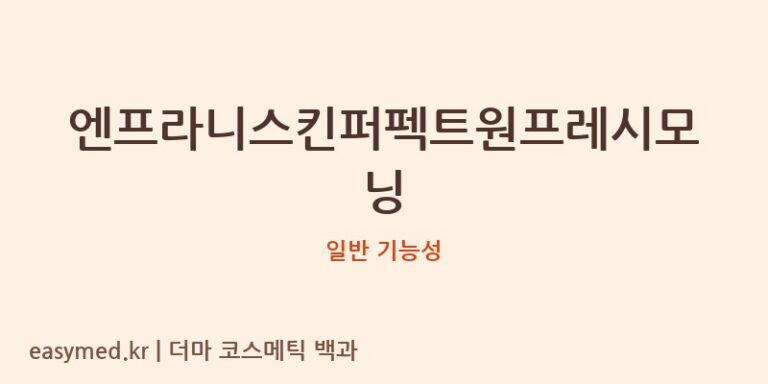 엔프라니스킨퍼펙트원프레시모닝 기능성 화장품 (일반 기능성)