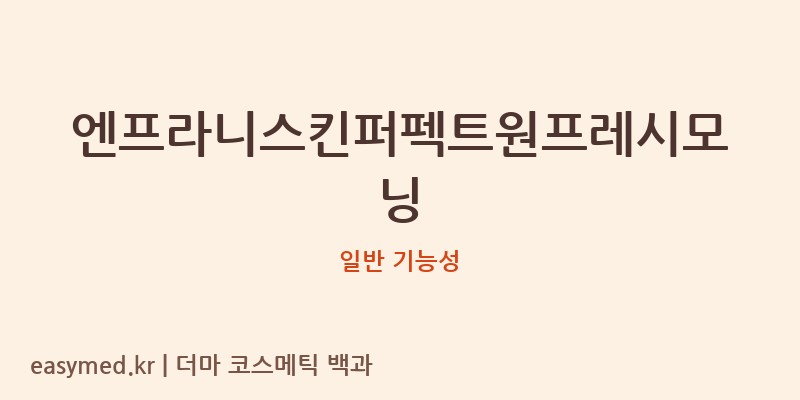 엔프라니스킨퍼펙트원프레시모닝 기능성 화장품 (일반 기능성)