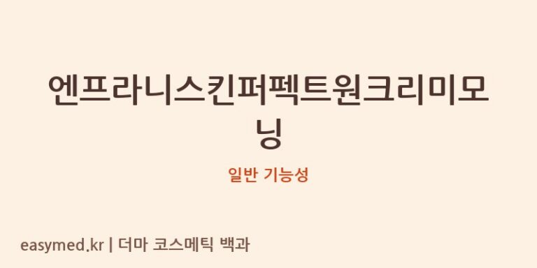 엔프라니스킨퍼펙트원크리미모닝 기능성 화장품 (일반 기능성)