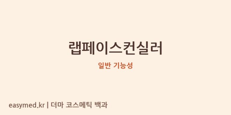 랩페이스 컨실러, 과연 어떤 제품일까요? 식약처 기능성 및 성분 정보 분석