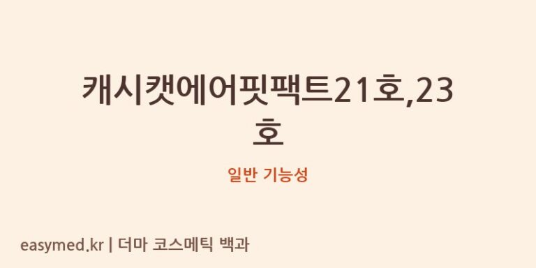 캐시캣에어핏팩트21호,23호 기능성 화장품 (일반 기능성)