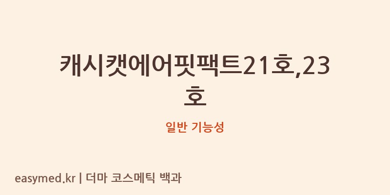 캐시캣에어핏팩트21호,23호 기능성 화장품 (일반 기능성)