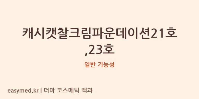 캐시캣찰크림파운데이션21호,23호 기능성 화장품 (일반 기능성)