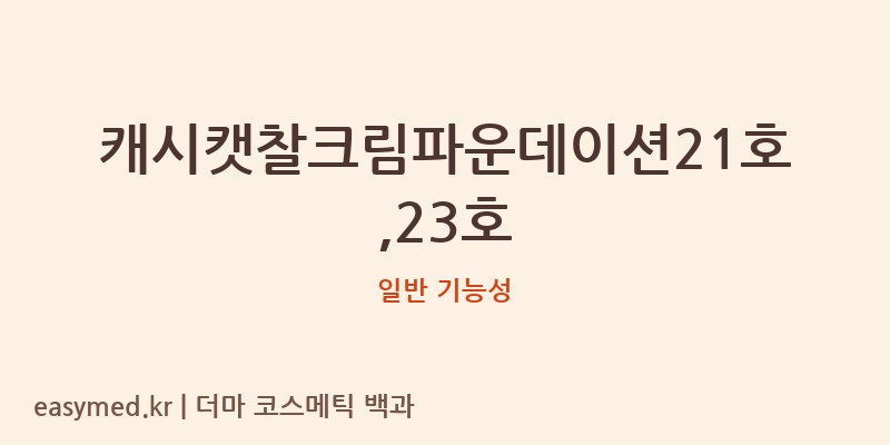 캐시캣찰크림파운데이션21호,23호 기능성 화장품 (일반 기능성)