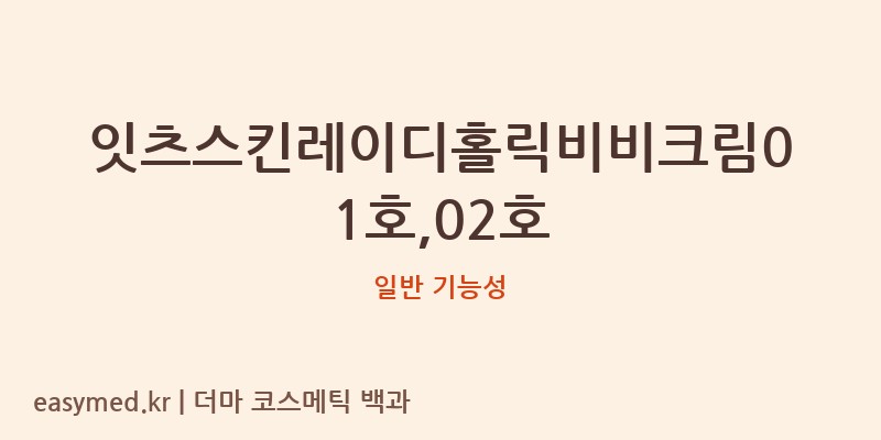 잇츠스킨레이디홀릭비비크림01호,02호 기능성 화장품 (일반 기능성)