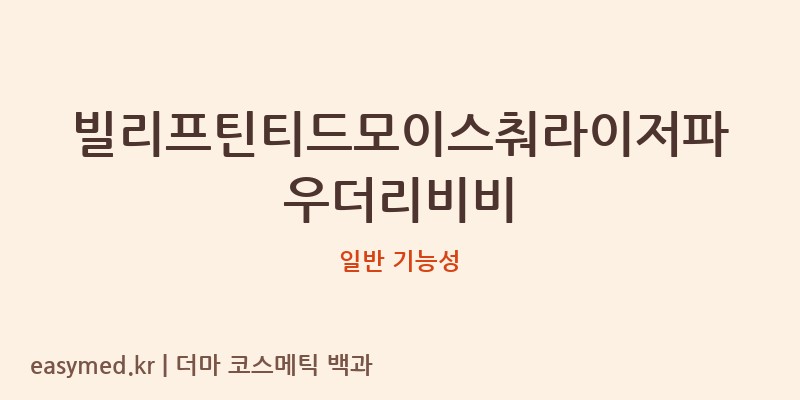 빌리프틴티드모이스춰라이저파우더리비비 기능성 화장품 (일반 기능성)
