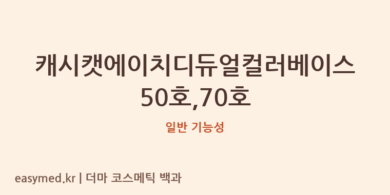 캐시캣에이치디듀얼컬러베이스50호,70호 기능성 화장품 (일반 기능성)