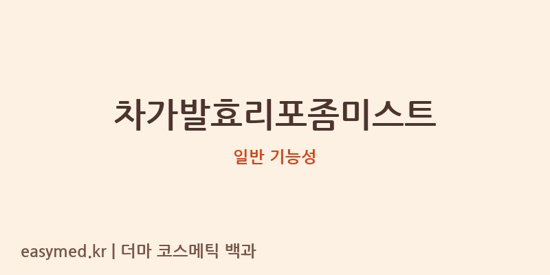 차가발효리포좀미스트 기능성 화장품 (일반 기능성)