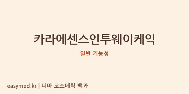 카라에센스인투웨이케익 기능성 화장품 (일반 기능성)