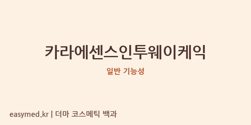 카라에센스인투웨이케익 기능성 화장품 (일반 기능성)