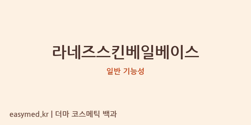 라네즈스킨베일베이스 기능성 화장품 (일반 기능성)